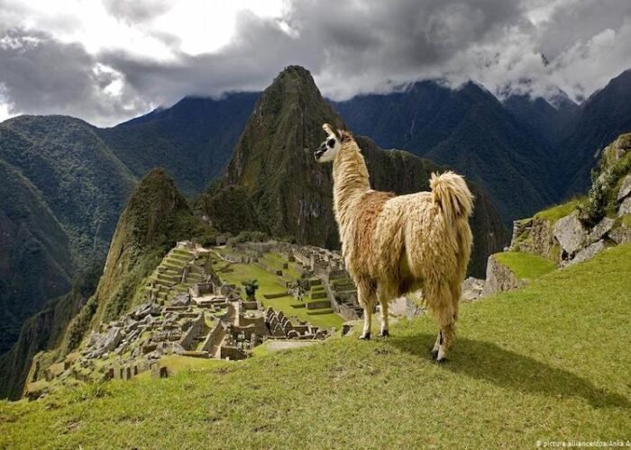 Peru Jungle Trips