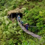 Peru Jungle Trips