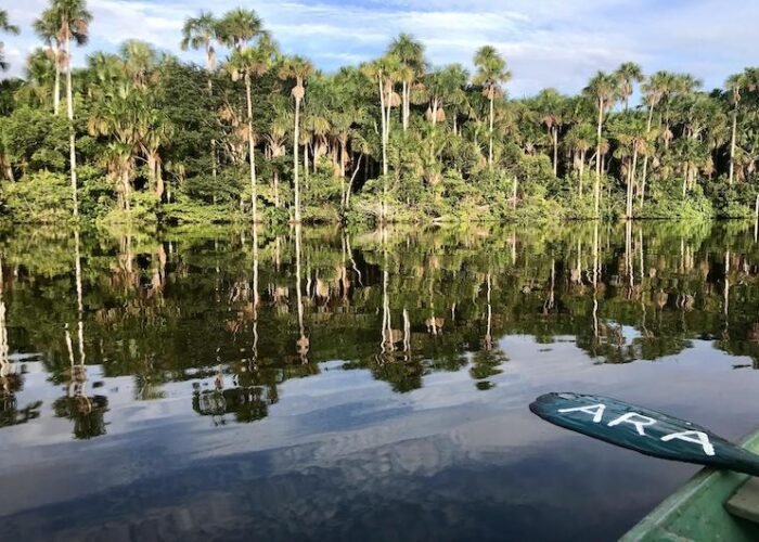 Peru Jungle Trips