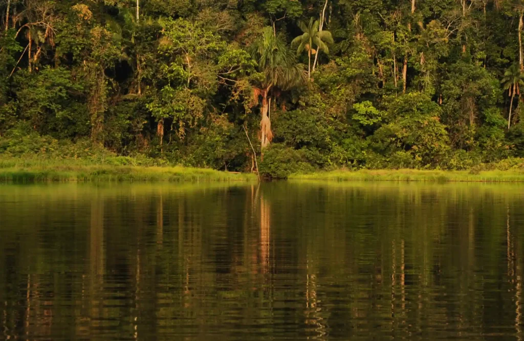 Oxbow lakes are found throughout the Amazon.