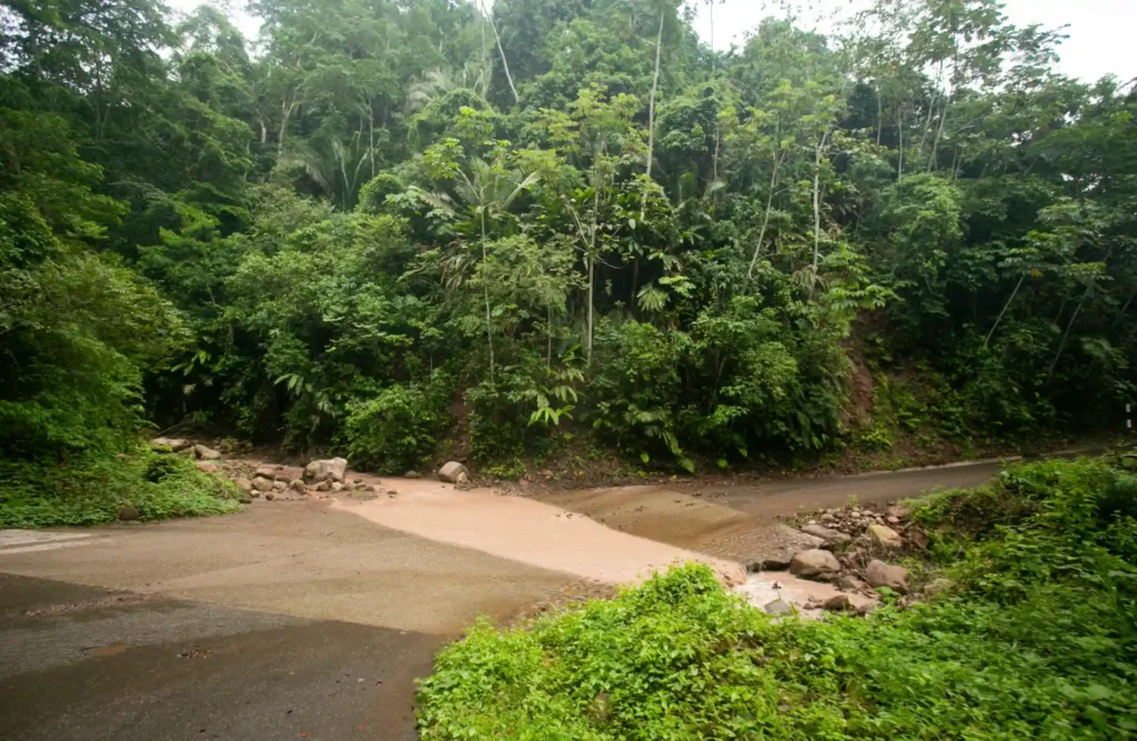 The return by bus to Cusco will take us from the jungle's rainforests to the andean highlands.