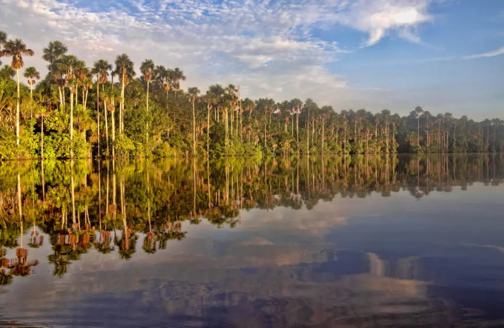 The Lake Sandoval before the sun sets