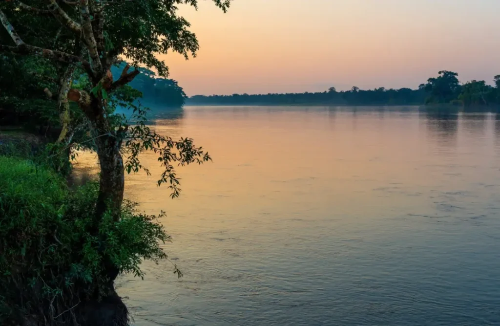 The night begins to manifestate somewhere amidst the Amazon's river.