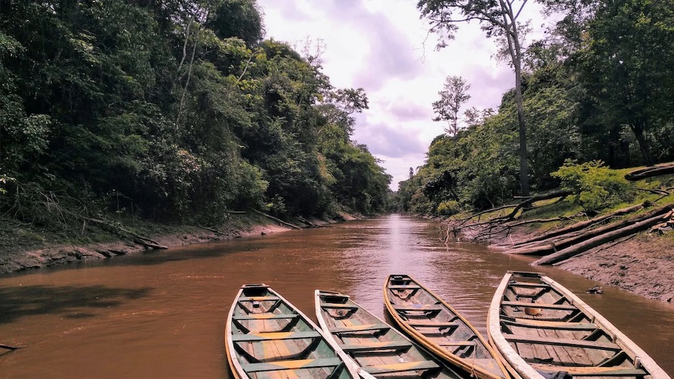Iquitos Jungle Tours - Iquitos Rainforest