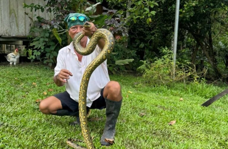 Blogs A serpent is handled by our brave guide!