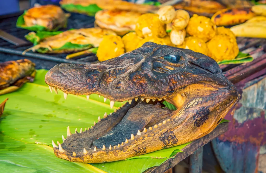 Le fragile équilibre de la jungle : le braconnage et les animaux de l’Amazonie Amazonian food