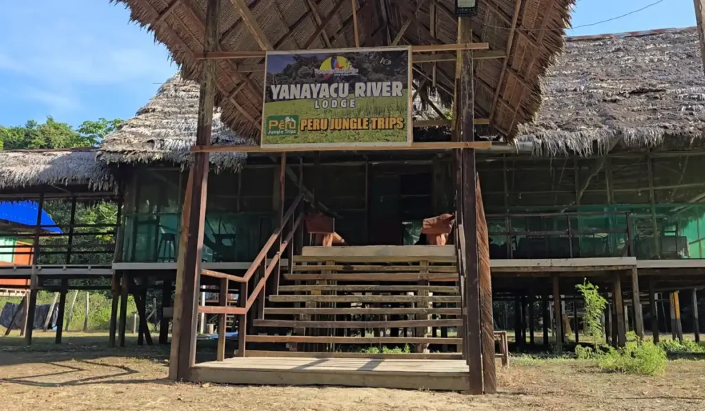 Voyage à Iquitos: De la culture urbaine à l'Amazonie profonde Yanayacu River Lodge Peru Jungle Trips