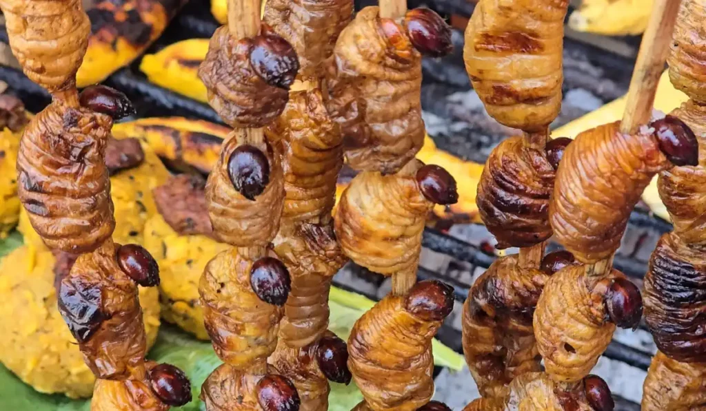 Voyage à Iquitos: De la culture urbaine à l'Amazonie profonde