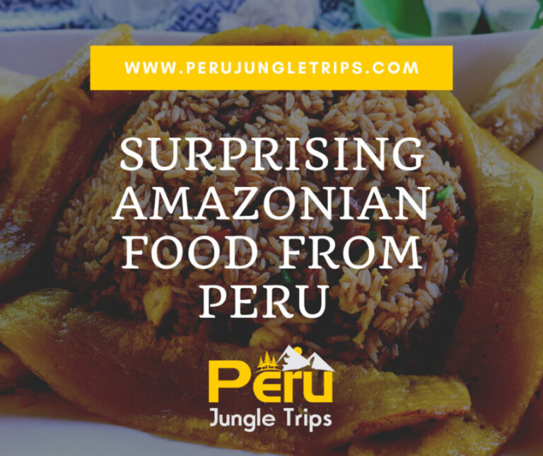 Blogs Surprising Amazonian Food from Peru That Will Delight You