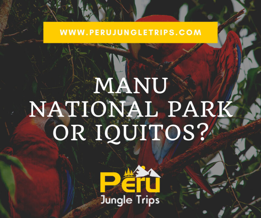 Manu National Park or Iquitos?