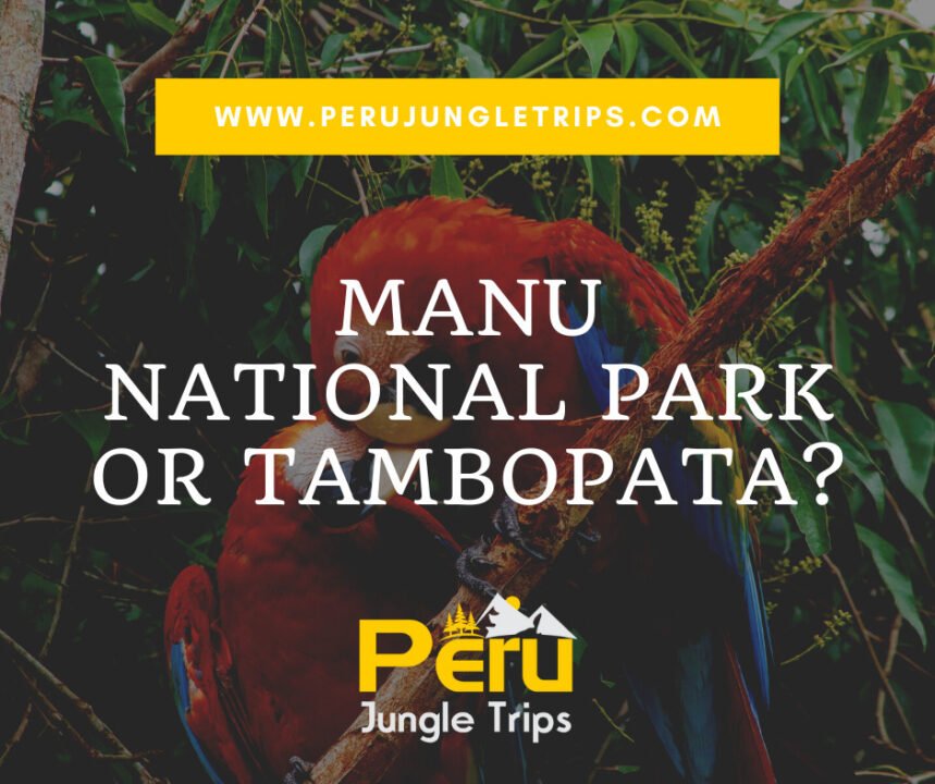 Photo with White Border Greeting Bastille Day Facebook Post-8 Manu National Park or Tambopata?