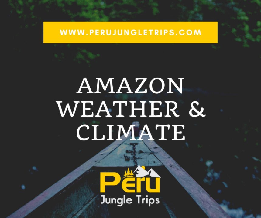 Amazon Weather & Climate