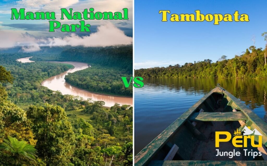 Manu National Park or Tambopata