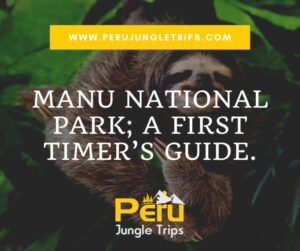 Manu National Park; A First Timer’s Guide.