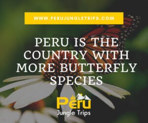 Peru is the country with more butterfly species