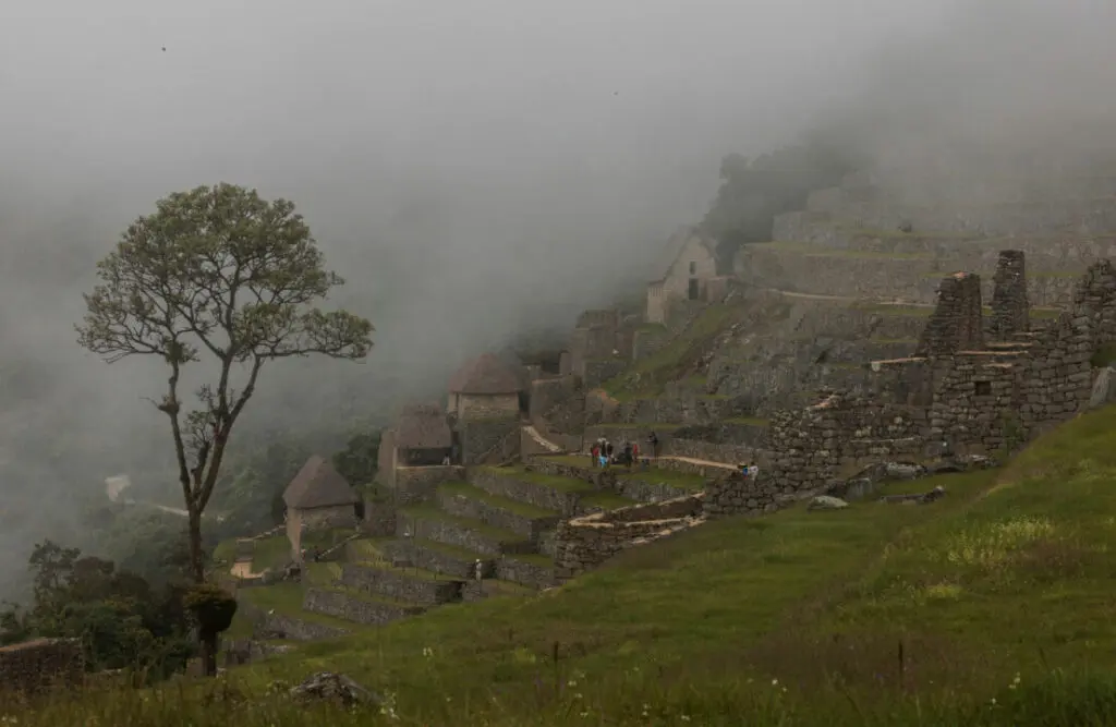 foggy_machupicchu