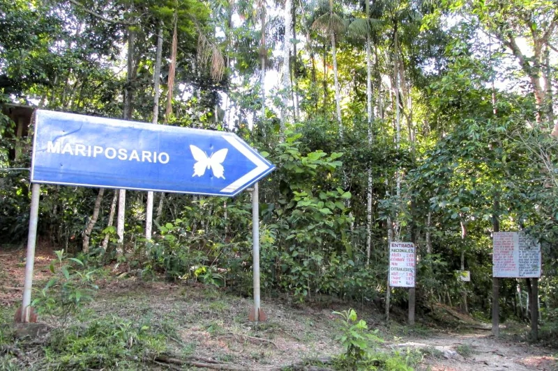 Pilpintuwasi Butterfly Farm