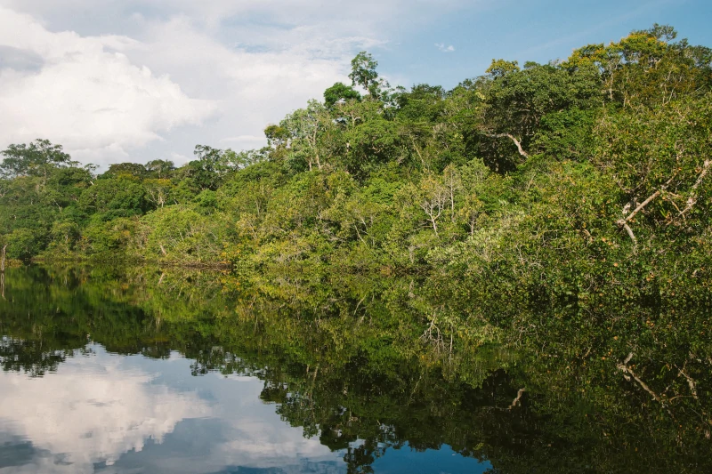 The Best Iquitos National parks 2023