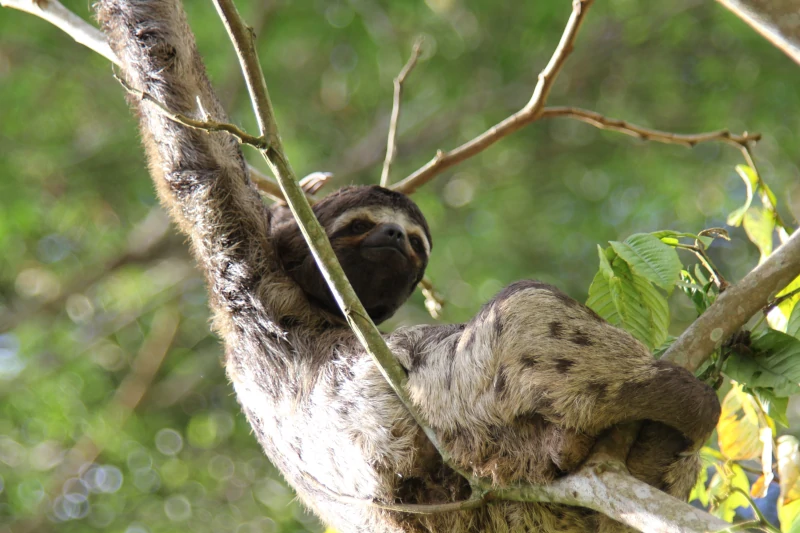 The Best Iquitos National parks 2023