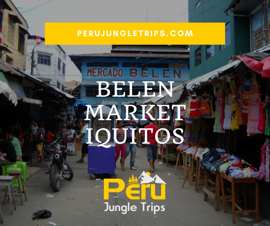 Belen Market Iquitos
