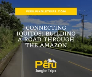 Connecting Iquitos: Building a road through the Amazon