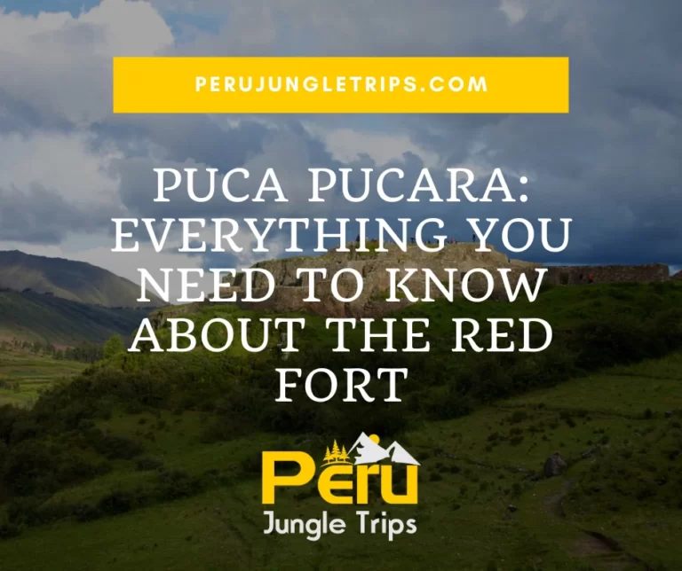 Blogs Puca Pucara: Everything you need to know about the Red Fort