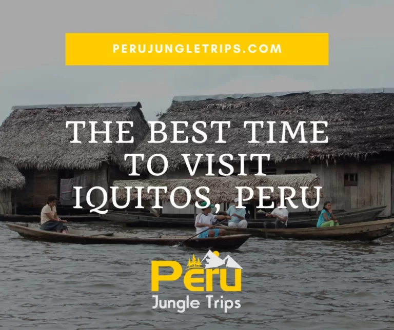 Blogs The Best Time To Visit Iquitos, Peru
