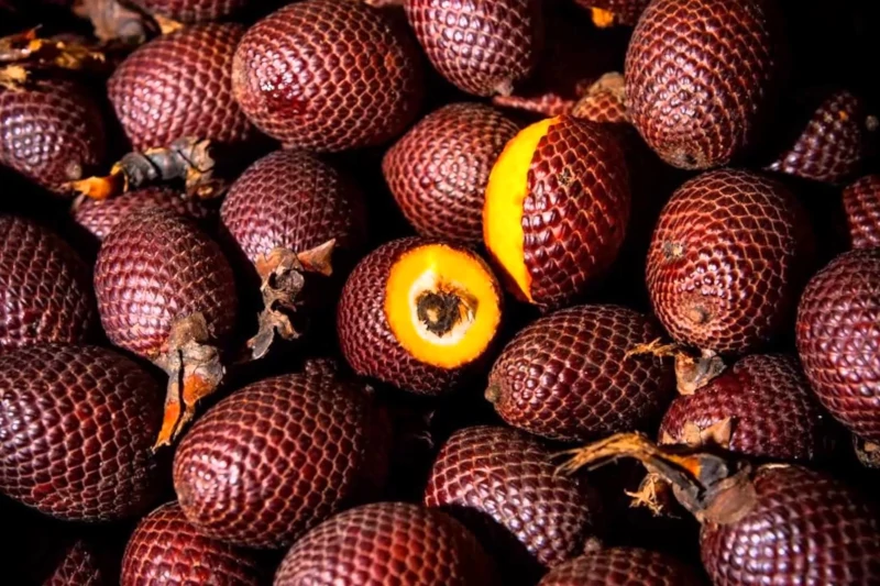 3 Exotic Fruits in Peru You Have To Try When Visiting