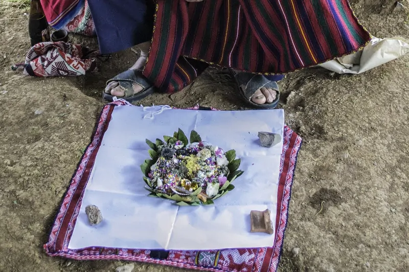 The Sacred Coca Leaf of the Incas