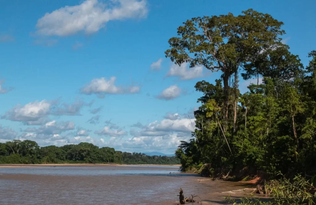 guia para a Reserva Nacional de Tambopata