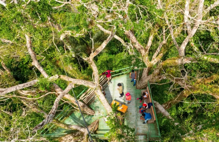 Blogs amazonia_visitors