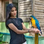macaw_close_encounter