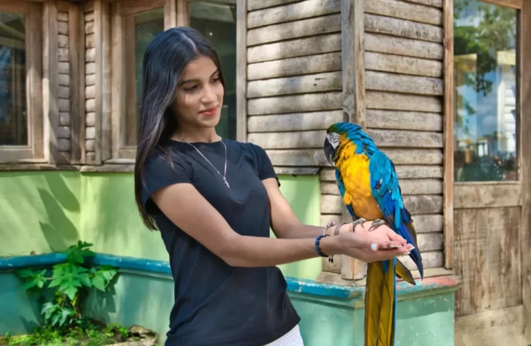 Blogs macaw_close_encounter