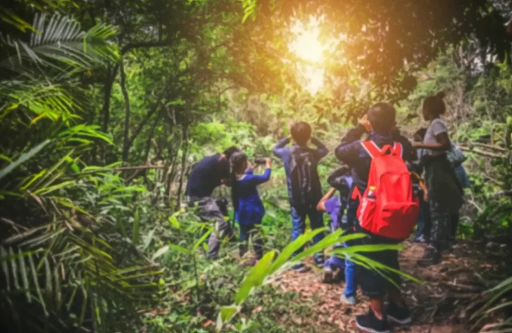 rainforest_photo_preparation