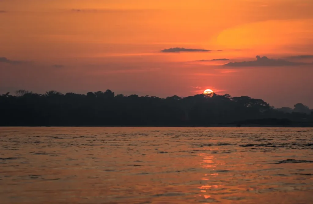 The sun sets over the horizon in Manu's National Park.