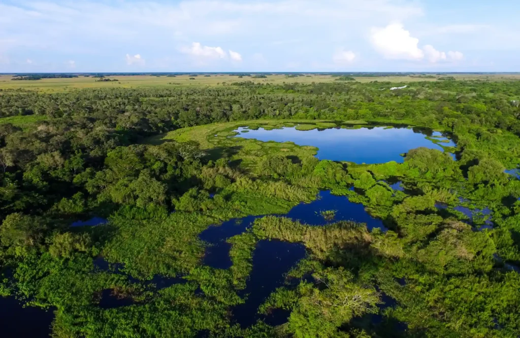 "El Pantanal" is the biggest wetland in the planet.