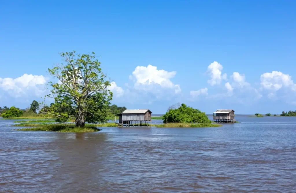 Many houses in the Amazon are located over the River's flux.