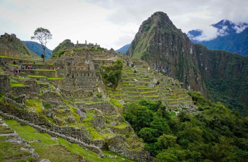 Machu Picchu's agricultural terraces.