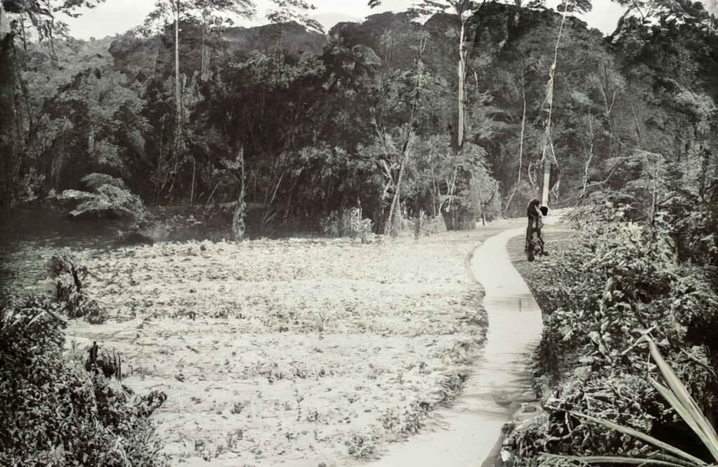 Iquitos's was nothing but Amazon's leafy environment on its full expression on its beginnings.