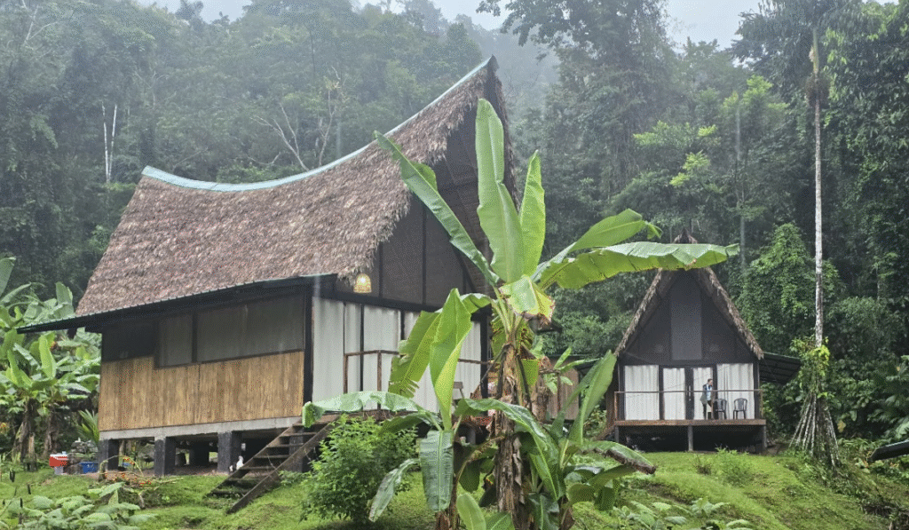 À quoi s’attendre lors d’une excursion à Manu ? Avatar Lodge