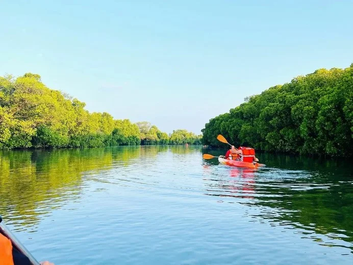 Tambopata National Reserve in October