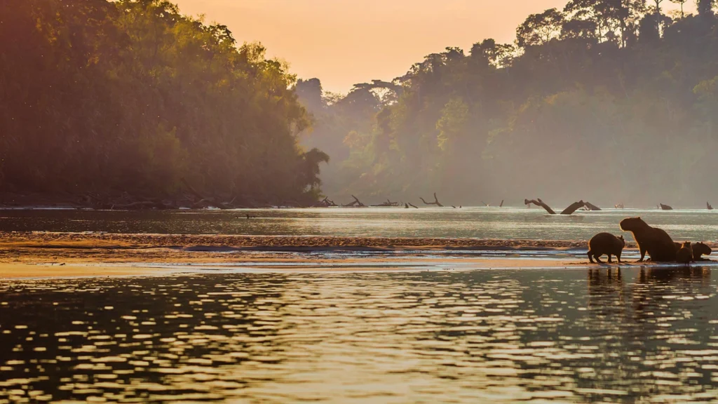 Manu National Park in December