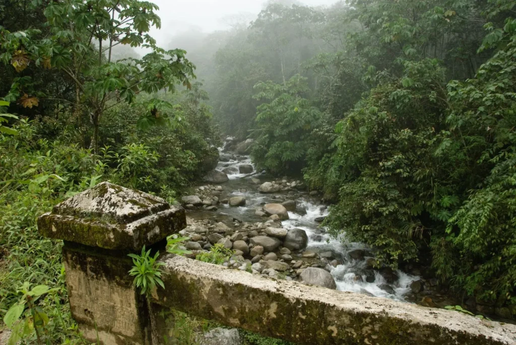 Manu National Park in December