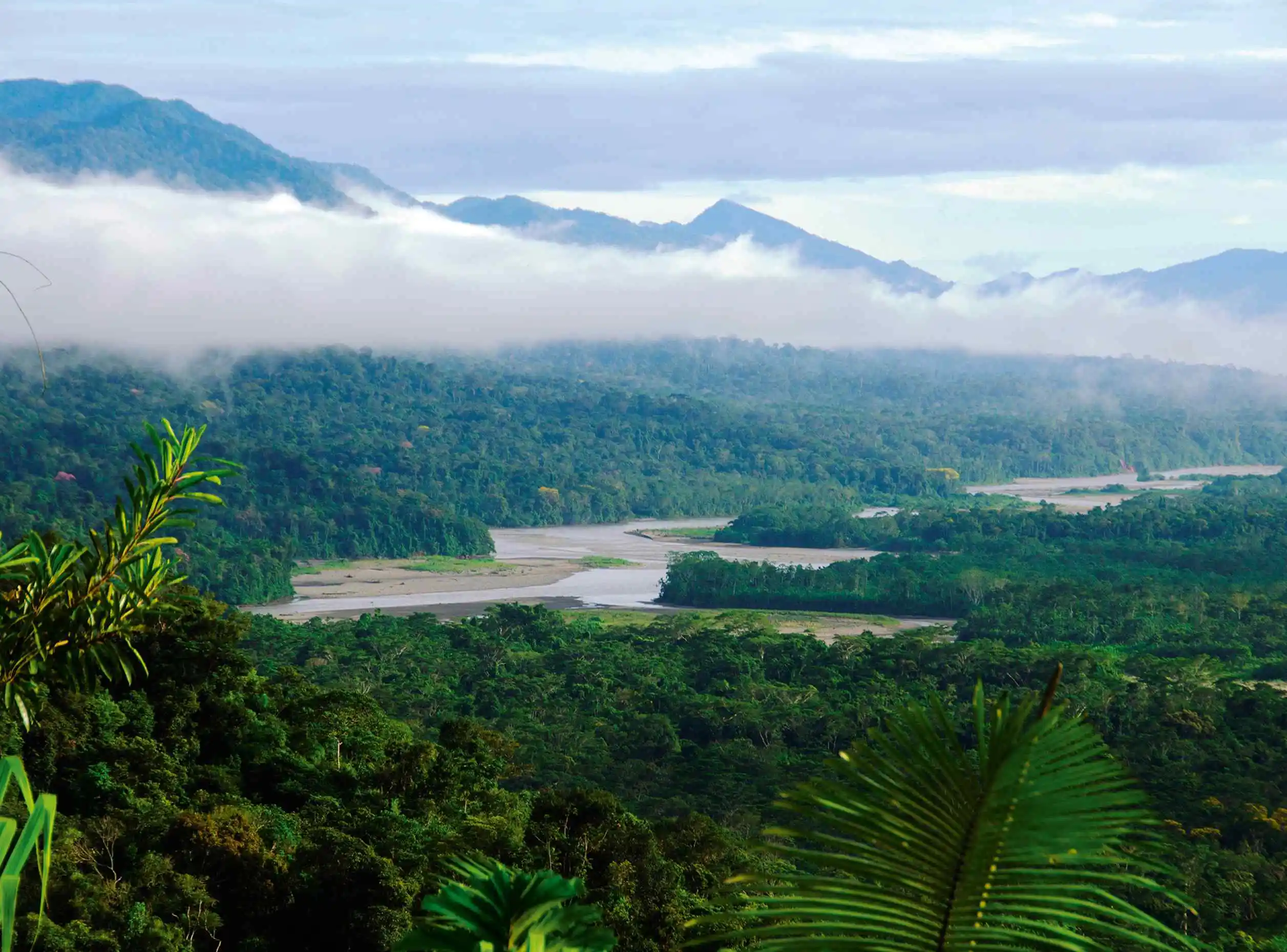 Manu National Park in December
