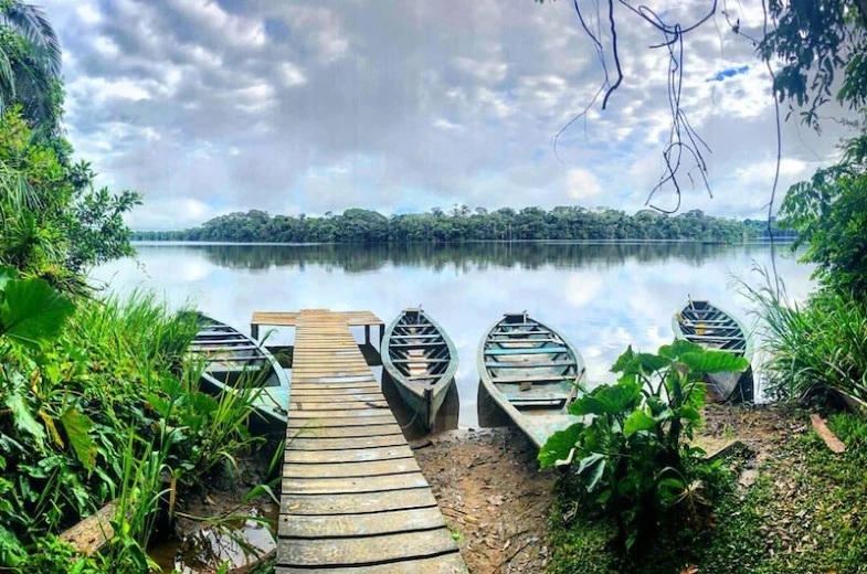 Reserva Nacional Tambopata em junho