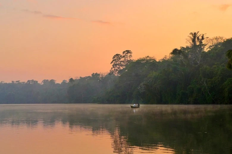 Tambopata National Reserve in February