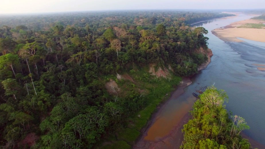 Tambopata National Reserve in February
