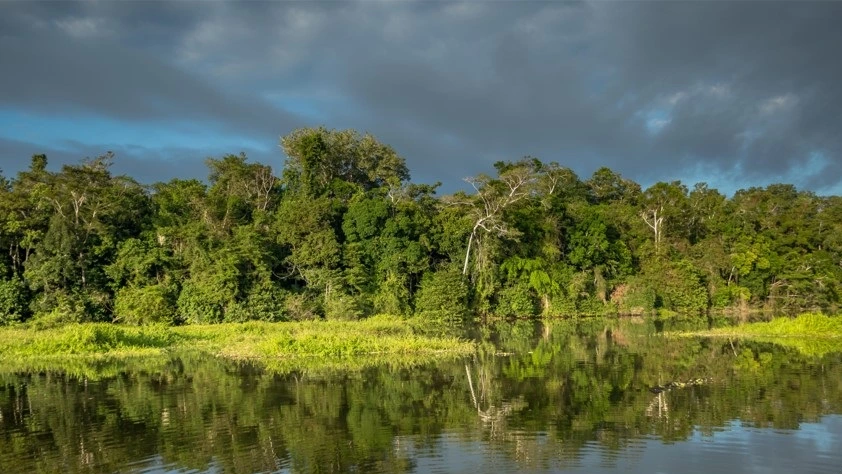 Reserva Nacional Tambopata