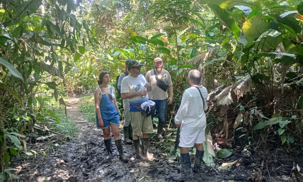 Tours pela selva amazônica saindo de Iquitos