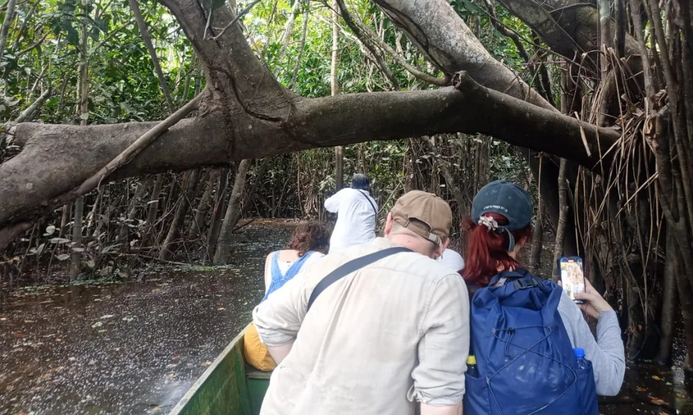 Tours pela selva amazônica saindo de Iquitos